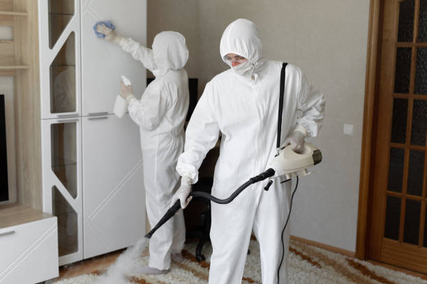 Best Mold Removal Process  in Tyler, MN